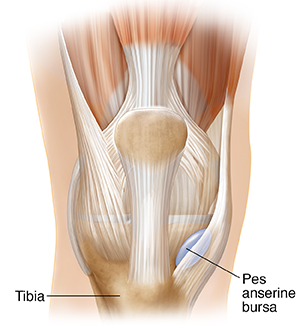 Lung Cancer Knee Joint Pain