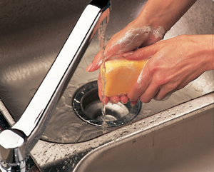 Hands over sink washing in running water.