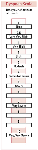 Dyspnea scale to rate shortness of breath from 0 None, to 10 Very, very severe.