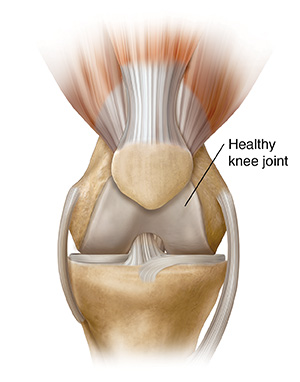 Front view of knee joint.