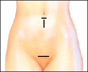 Image of abdomen