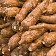 ../../images/ss_cassava.jpg