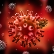 ../../images/ss_herpessimplexvirus.jpg