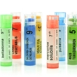 ../../images/ss_homeopathy.jpg