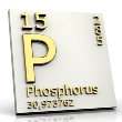 ../../images/ss_phosphate.jpg