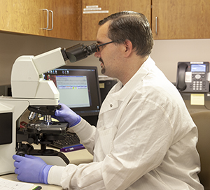 Man in laboratory looking into a microscope