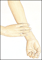 Palm view of hand and forearm. Another hand is feeling forearm with fingers.