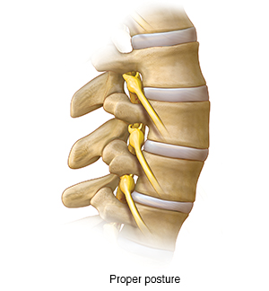 Side view of lumbar spine.