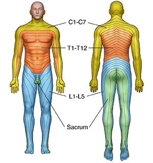 Signs of Spinal Cord Injury Recovery