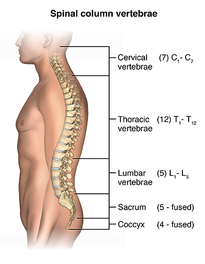 Lumbar Strain Cedars Sinai