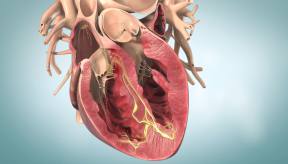 How Your Heart Works - Animation | Cedars-Sinai