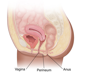 Incontinence Pregnancy & After Childbirth