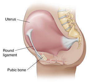 Round Ligament Pain Symptoms and Relief