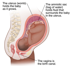 Side view of female body showing pregnancy at 9 months.