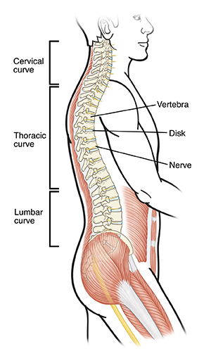 Forward head posture symptoms and complications – Caring Medical Florida