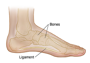 Heel Slides  Saint Luke's Health System