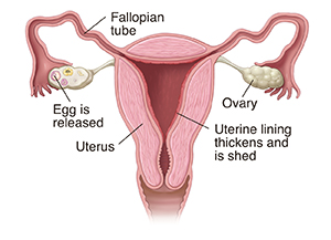 Awimo's girl support foundation - Why? Why? ,The most common cause of  discharge after period is OLD BLOOD that's being expelled from the uterine  liningthis can occur within a few days after