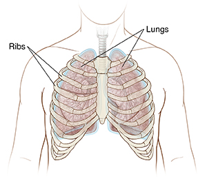 Rib Fracture Broken Rib Saint Luke s Health System