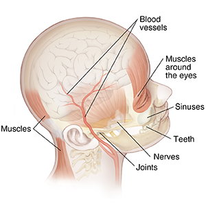 Back of head 2024 headache sinus