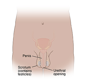 Teens STD Symptoms Male Saint Luke s Health System