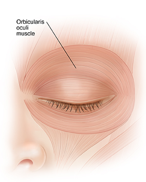 Eye Twitching Saint Luke s Health System