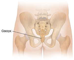 What Is Tailbone Pain/Coccydynia? Symptoms, Causes, Diagnosis &  Physiotherapy Treatment Of Tailbone Pain/Coccydynia