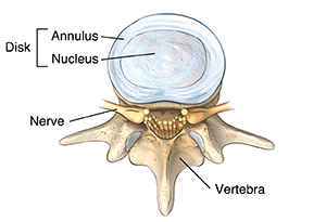 Tailbone (Coccyx) Fracture  Saint Luke's Health System