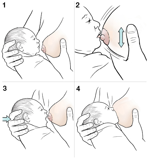 Step-by-Step: Breastfeeding: Latch On