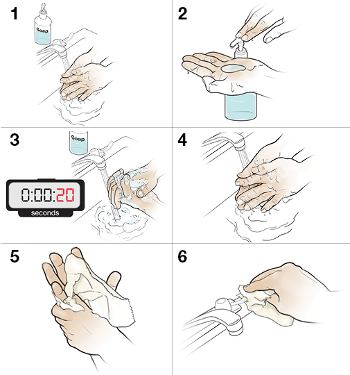 Proper Hand Washing Techniques