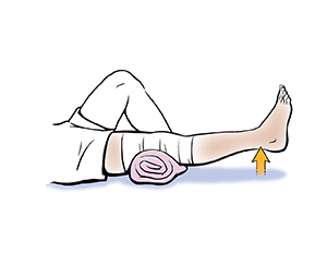 Replacement exercise for online leg extensions