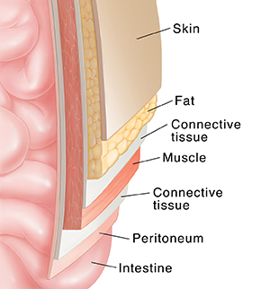 showed an overview on female abdomen and its parts.