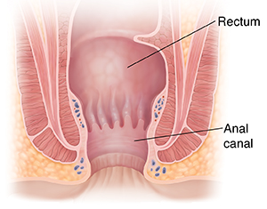 Nasty gloryhole stories