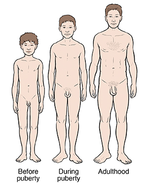 Puberty: Normal Growth and Development in Boys | Saint Luke's Health System
