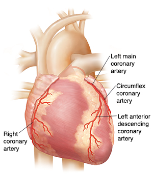 Takotsubo cardiomyopathy (broken heart syndrome): what is it, symptoms and  treatment