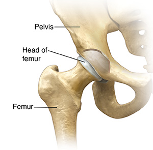 Understanding Hip Fractures | Saint Luke's Health System