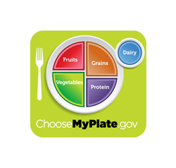 Graphic of plate and cup showing daily food size portions, choosemyplate.gov