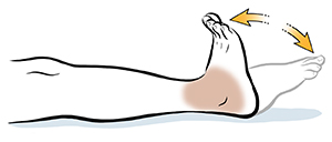 Dorsiflexion/Plantarflexion (Flexibility)