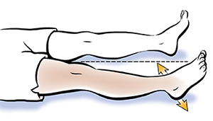 Leg abduction 2025 and adduction exercises