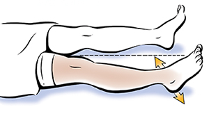 Legs from waist down showing abduction/adduction.