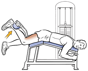 Lying Hamstring Curl  Saint Luke's Health System