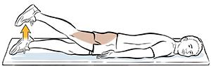 Prone Hip Extension Saint Luke s Health System