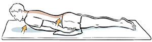 Prone Multifidus Activation Strength Saint Luke s Health System