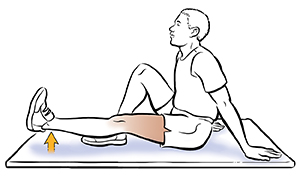 Sitting knee online raises