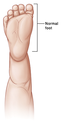 Outline of baby's leg showing bottom of foot.'s leg showing bottom of foot.