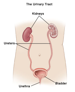 When Your Child Needs a Voiding Cystourethrogram (VCUG)