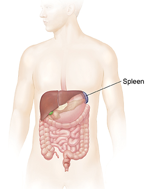 Left side rib, back and stomach pain