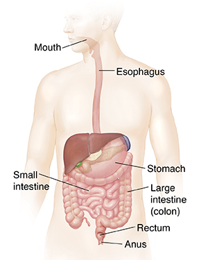 Rectal Bleeding Causes and What to Do About It