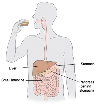 Diabetes and digestive health