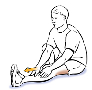 Seated Hamstring Stretch  Saint Luke's Health System