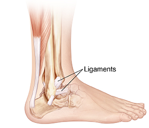 Understanding Ankle Sprain  Saint Luke's Health System